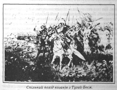 Спільний похід козаків з Тугай-Беєм